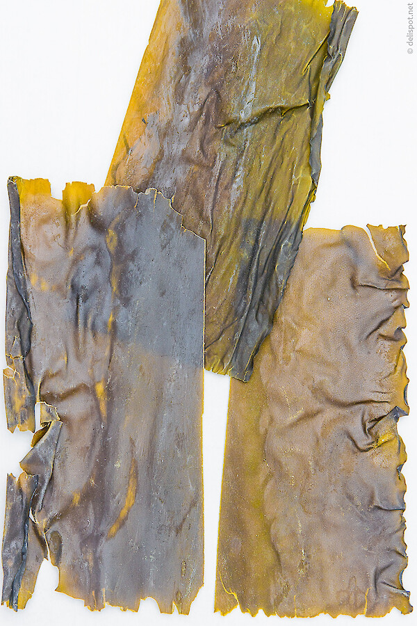 Kombu oder Kelp, getrocknet, in Platten